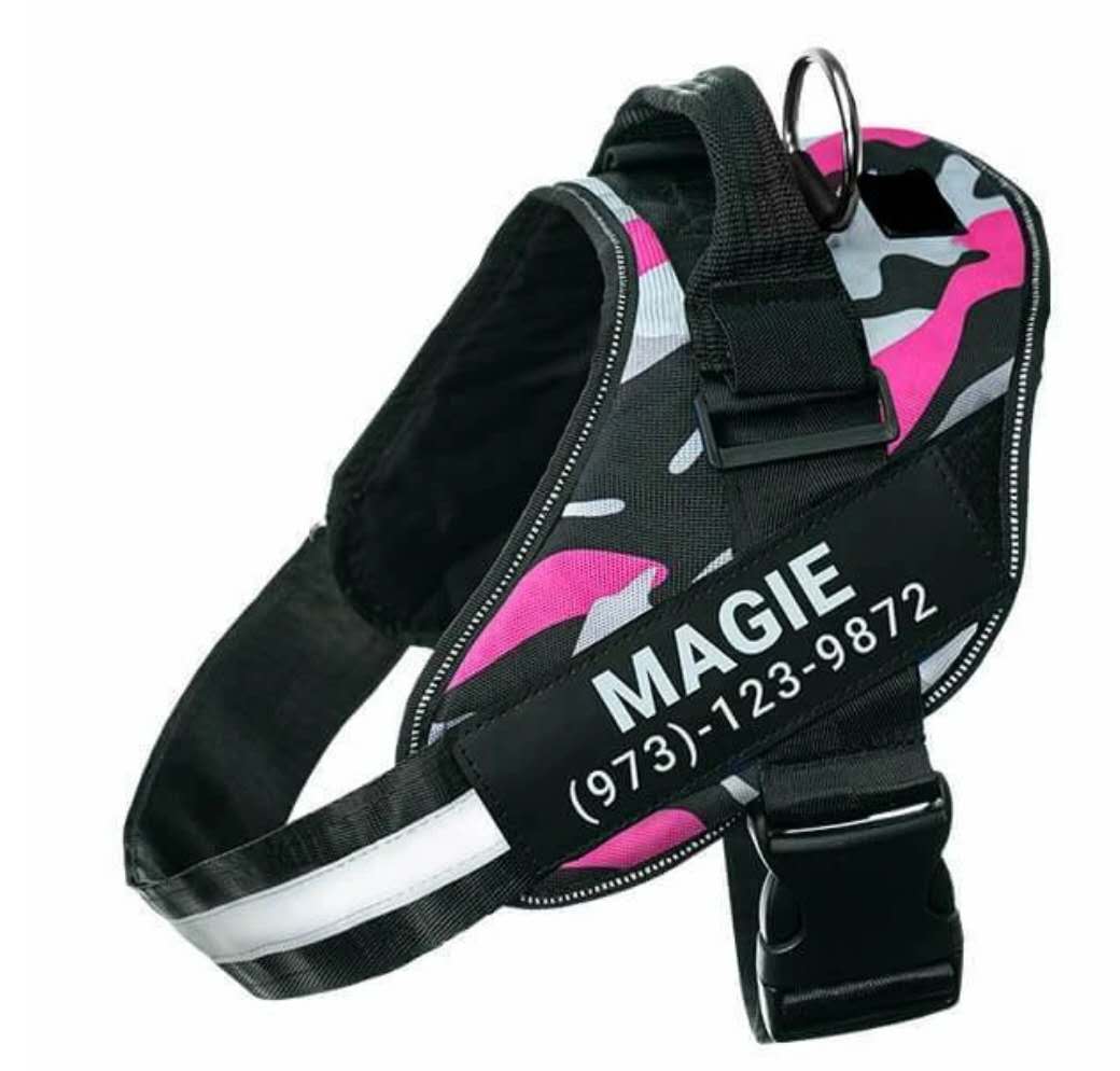 Personalised No-Pull Reflective Dog Harness - Adjustable Comfort Fit