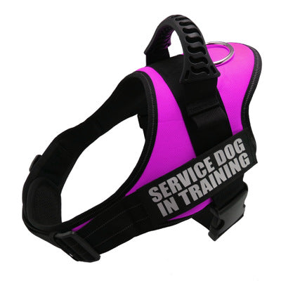Personalised No-Pull Reflective Dog Harness - Adjustable Comfort Fit