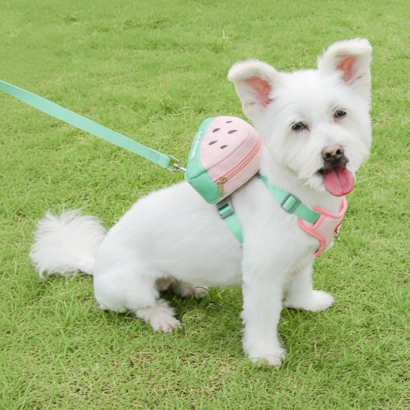 Fruit Design Poop Bag Backpack With Harness And Leash Set For Dogs / Pets