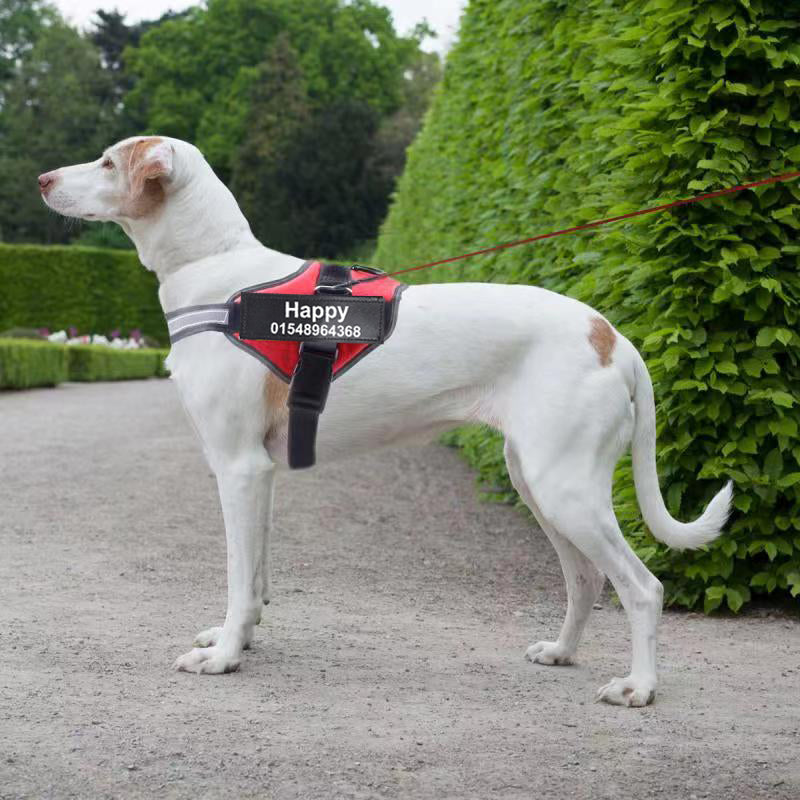 Personalised No-Pull Reflective Dog Harness - Adjustable Comfort Fit