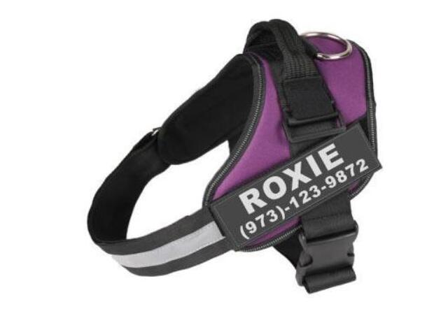 Personalised No-Pull Reflective Dog Harness - Adjustable Comfort Fit