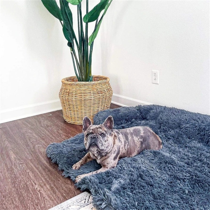 Cama lavable de felpa para perros, cojín relajante antideslizante para mascotas