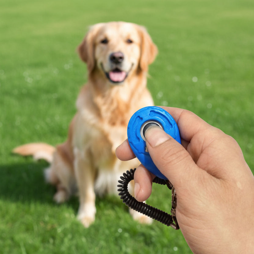 Smart Dog / Pet Training Clicker For Faster Learning And Obedience