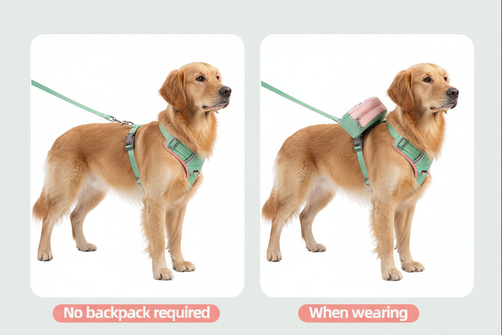Fruit Design Poop Bag Backpack With Harness And Leash Set For Dogs / Pets