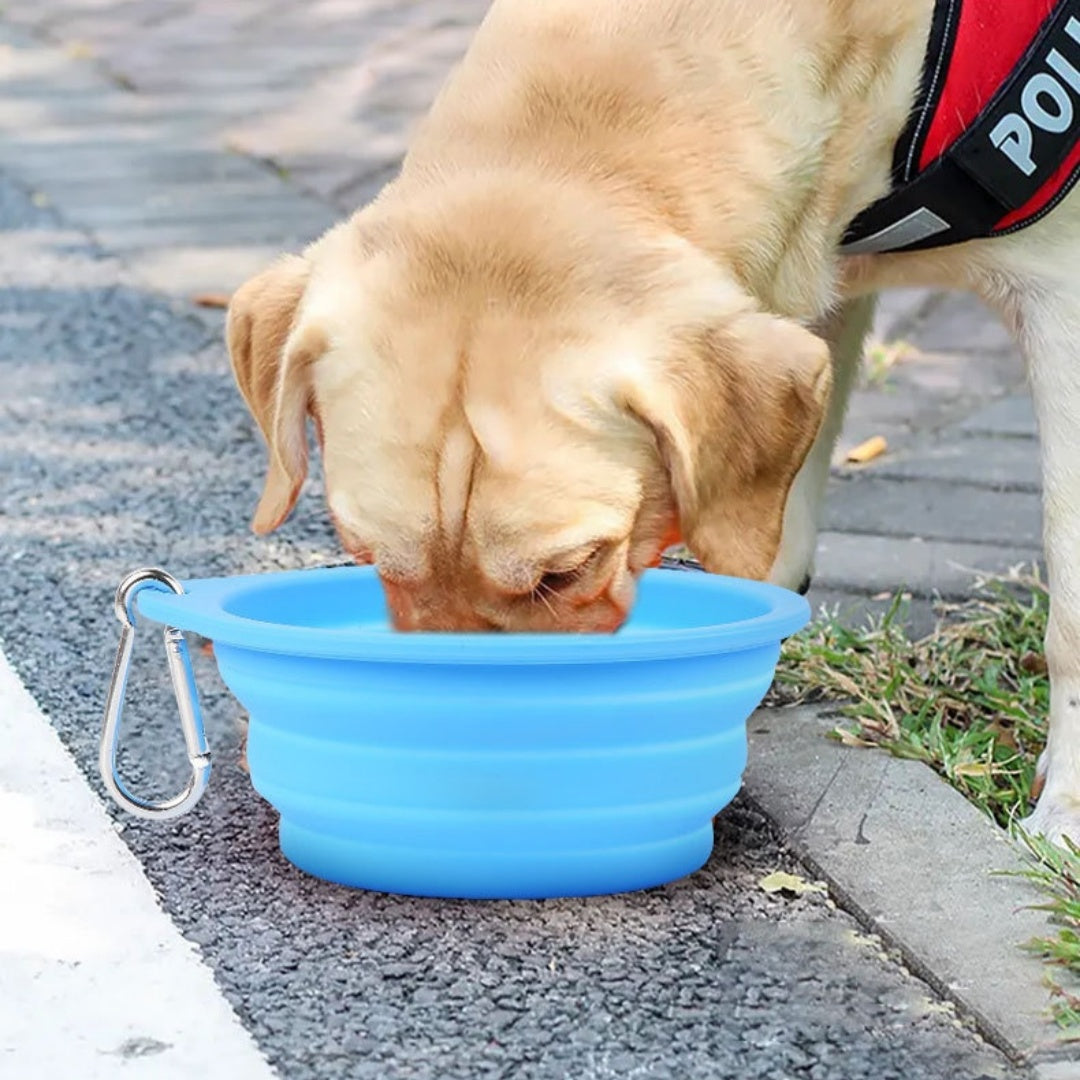 Collapsible Travel Dog / Pet Bowl Portable Food And Water Companion